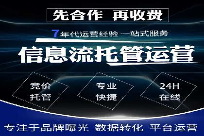 谷歌SEM广告平台的使用技巧：从新手到高手的进阶之路